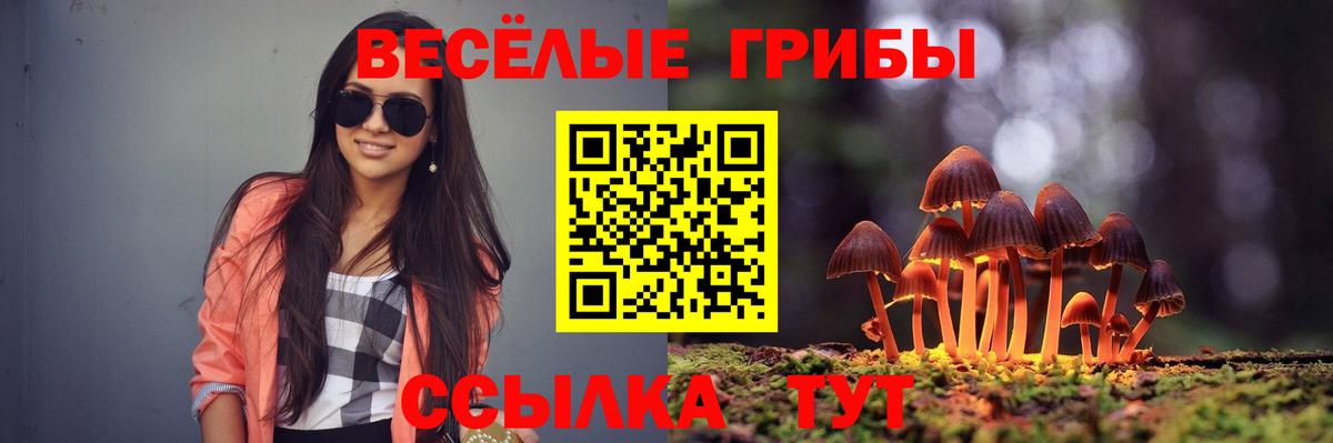 Сатка  Псилоцибиновые грибы Psilocybine cubensis  Вход с VPN  Псилоцибиновые грибы Psilocybe 
